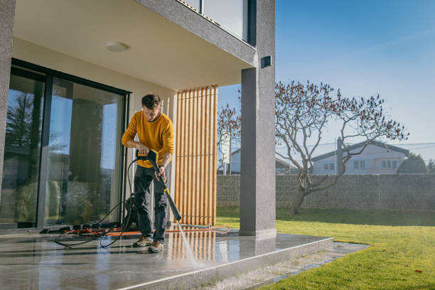 Best Fence Cleaning  in Lady Lake, FL